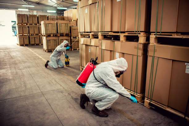 Best Cockroach Control Services  in Kenmore, NY