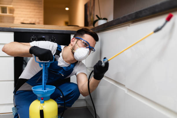 Best Bed Bug Extermination  in Kenmore, NY