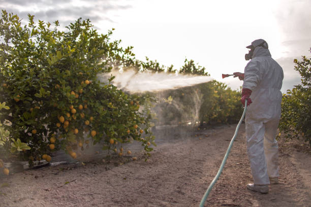 Trusted Kenmore, NY Pest Control Experts