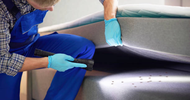 Best Pest Prevention Services  in Kenmore, NY